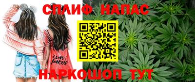 гашик Янаул