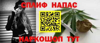 гашик Янаул